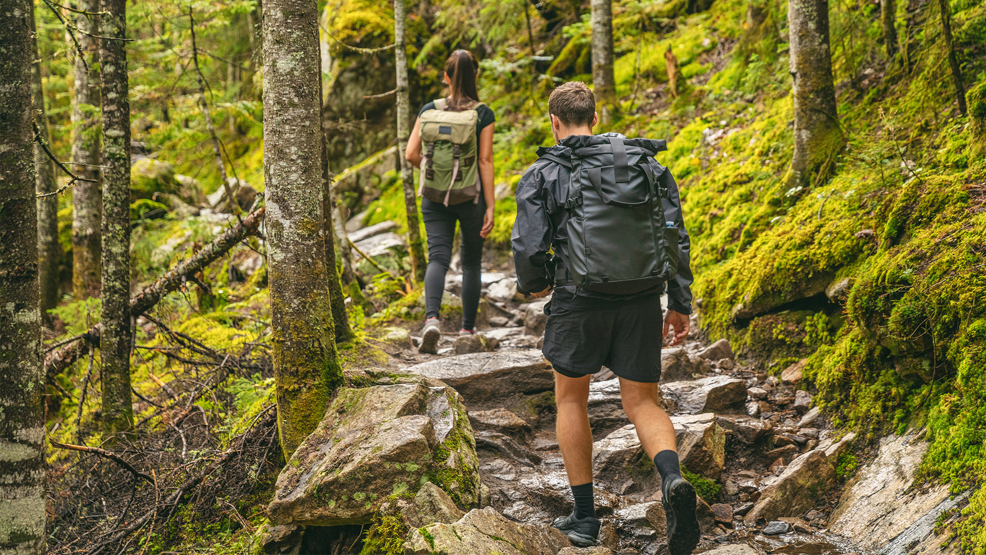Ein Mann und eine Frau mit Rucksäcken sind beim Wandern in einem Wald von Hinten zu sehen.