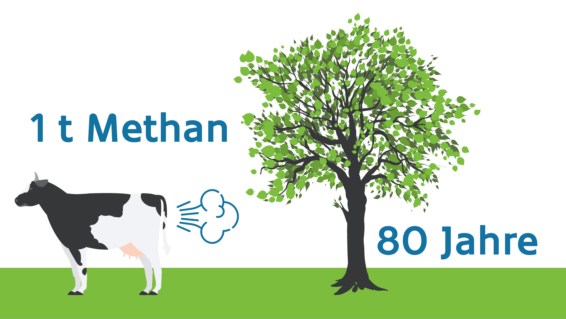 Um eine Tonne Methan aufzunehmen, muss eine Buche ungefähr 80 Jahre lang wachsen. Grafik zeigt eine furzende Kuh und einen Baum auf einer grünen Wiese. Beschriftung: " 1 t Methan" und "80 Jahre".